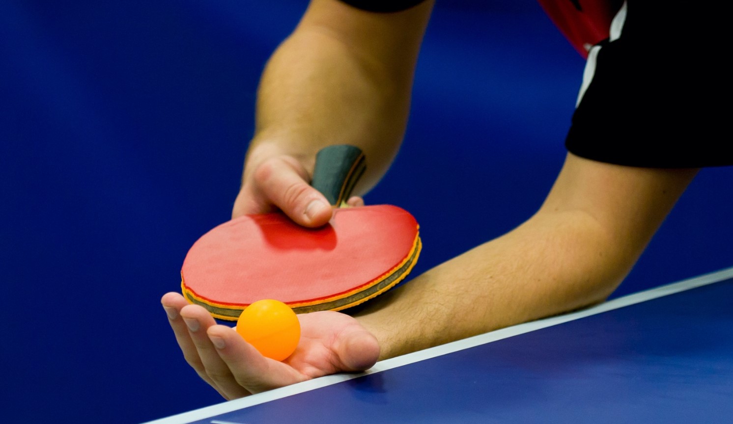 About Table tennis betting at Betwhale Sportsbook 1