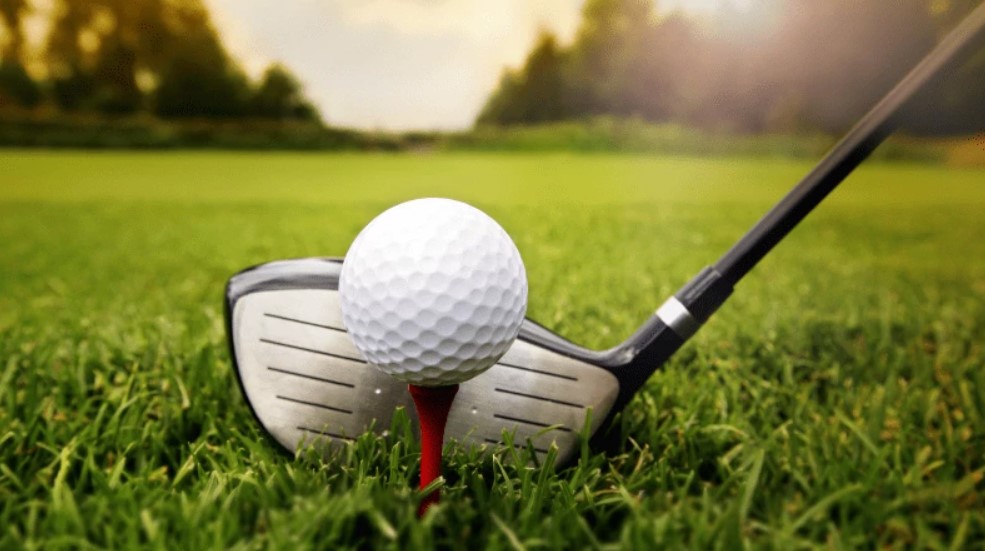 Golf betting online Review - Betwhale 1