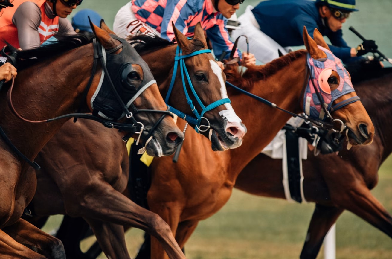 Horse Racing Betting at Betwhale Sportsbook 1