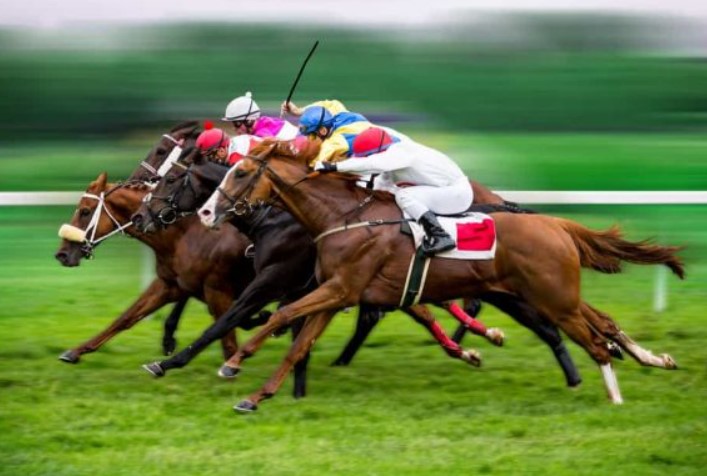 Horse Racing Betting at Betwhale Sportsbook 2