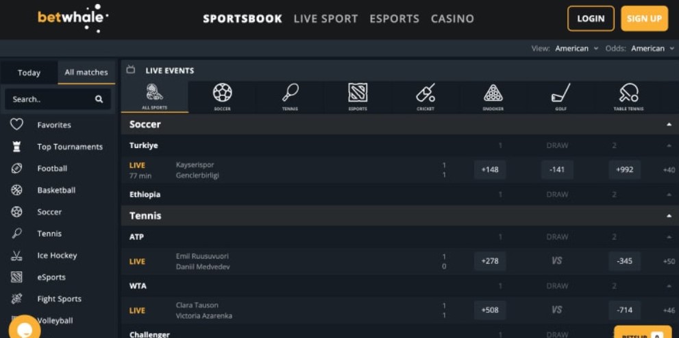 Super Bowl betting at Betwhale SportsBook 2