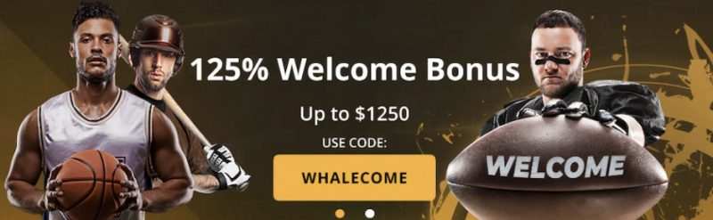 Betwhale bookmaker promo code - how to use and why you need it 3