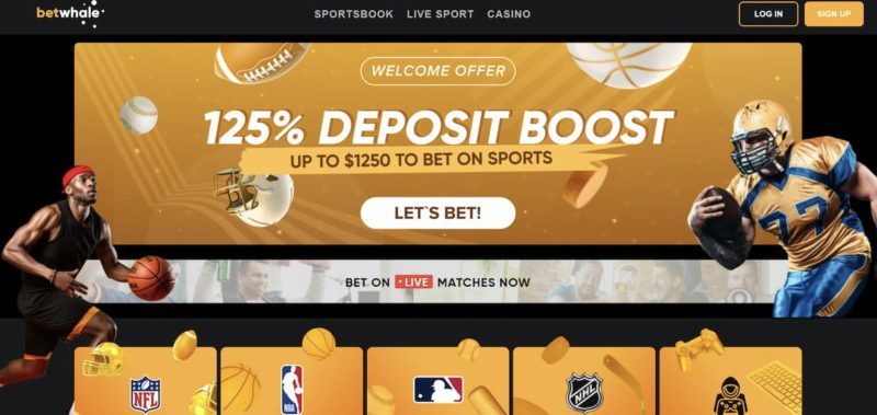 Betwhale bookmaker promo code - how to use and why you need it 4