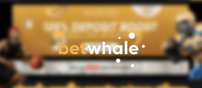 Cashback bonus at Betwhale bookmakers 4